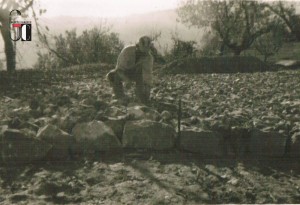 Anni '50 Consorzio di Bonifica Balle del tenna - Penna San Giovanni - realizzazione strada in MACADAM